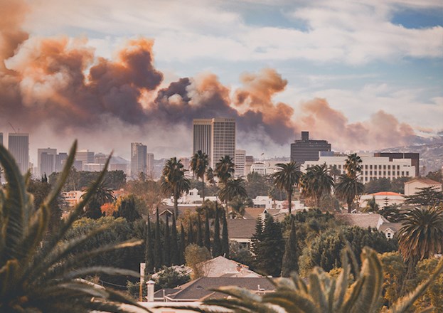 Smoke from wildfires rises above the palm trees and skyline of Los Angeles.