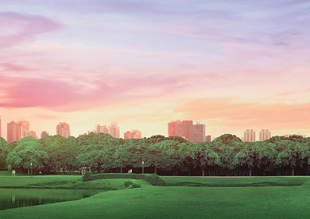 The skyline of Curitiba rises behind the trees of one of the city’s many parks.