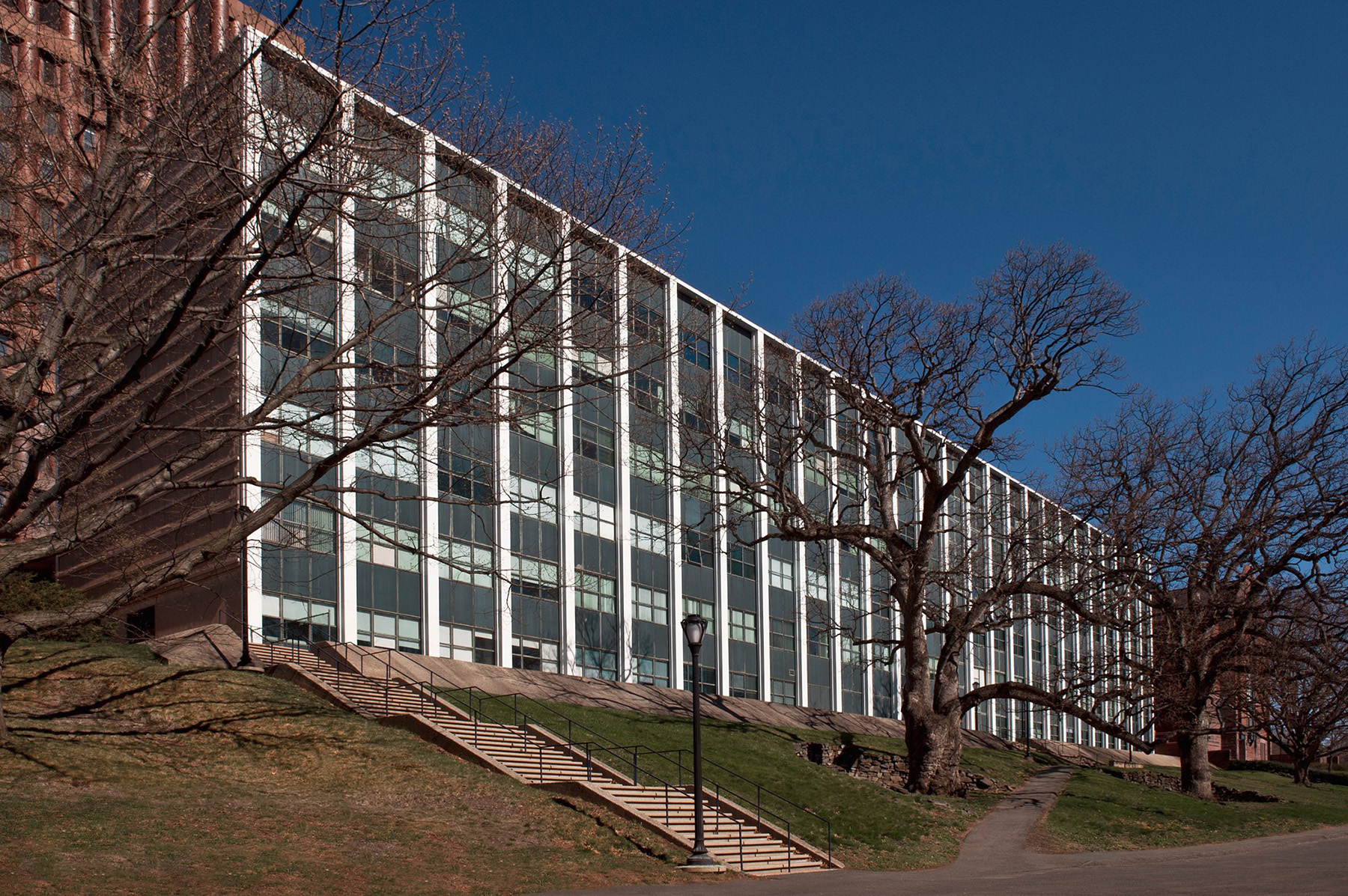 In the foreground, a staircase that is angled up a small hill, with trees on either side. In the background, a seven-story building with many windows. The sky behind the building is blue.