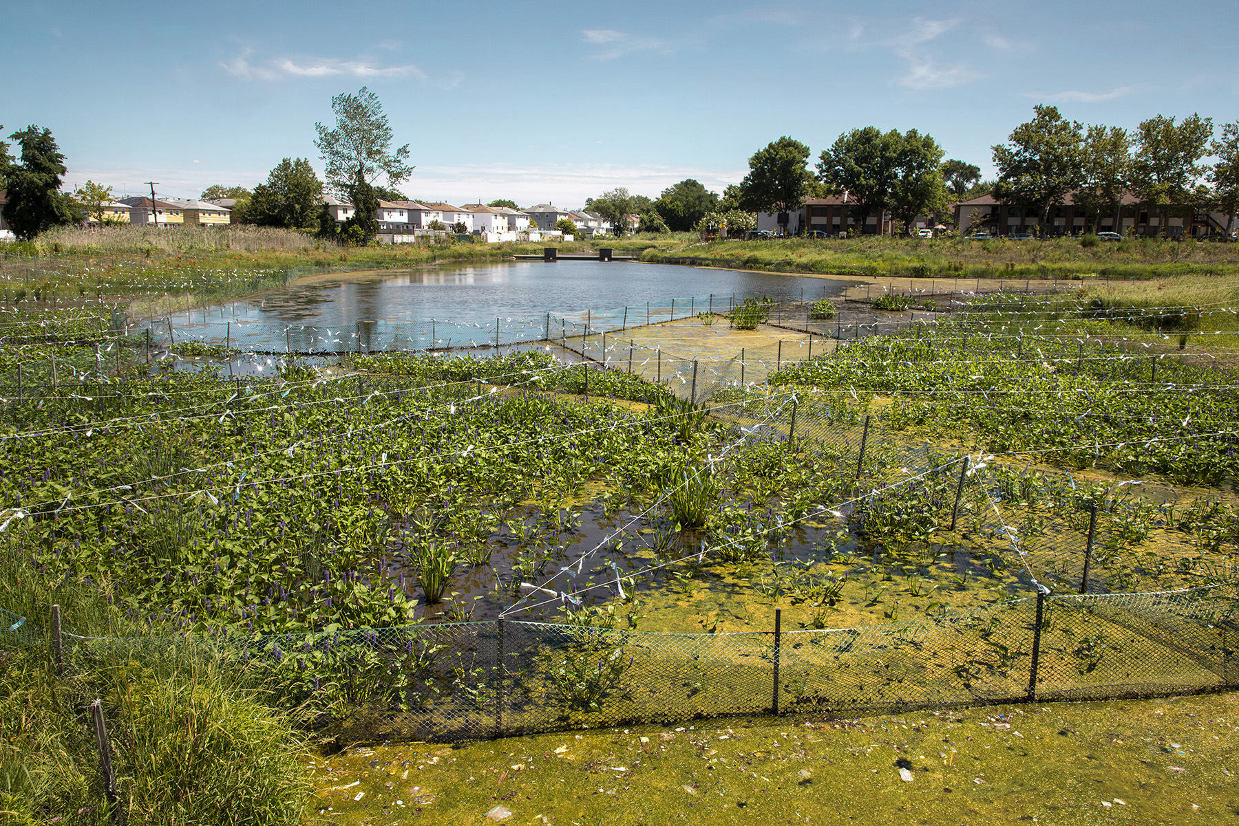 Hydraulic ‘memory’ guides New York City’s Bluebelt program