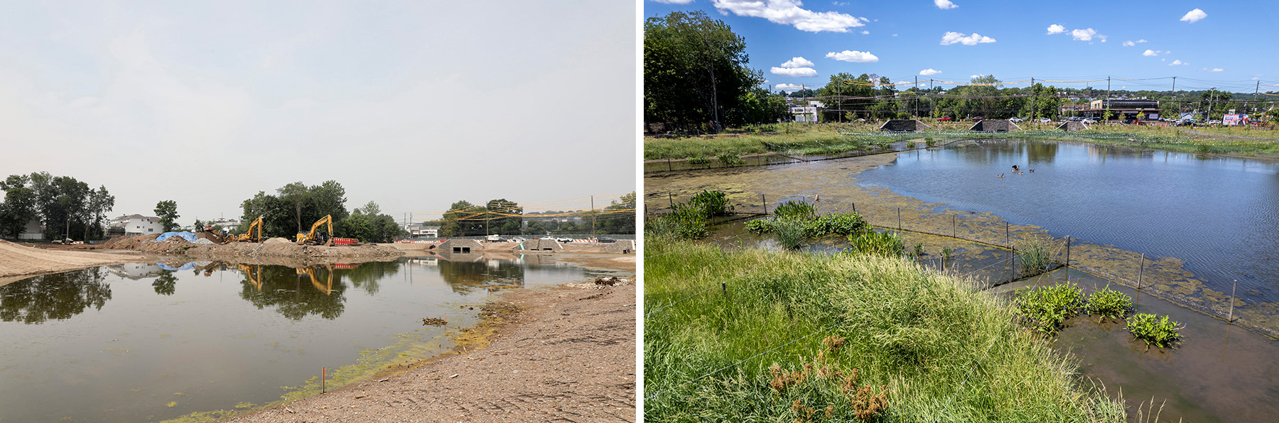 Stacked photos show the before and after scenes of a wetlands area under construction. 