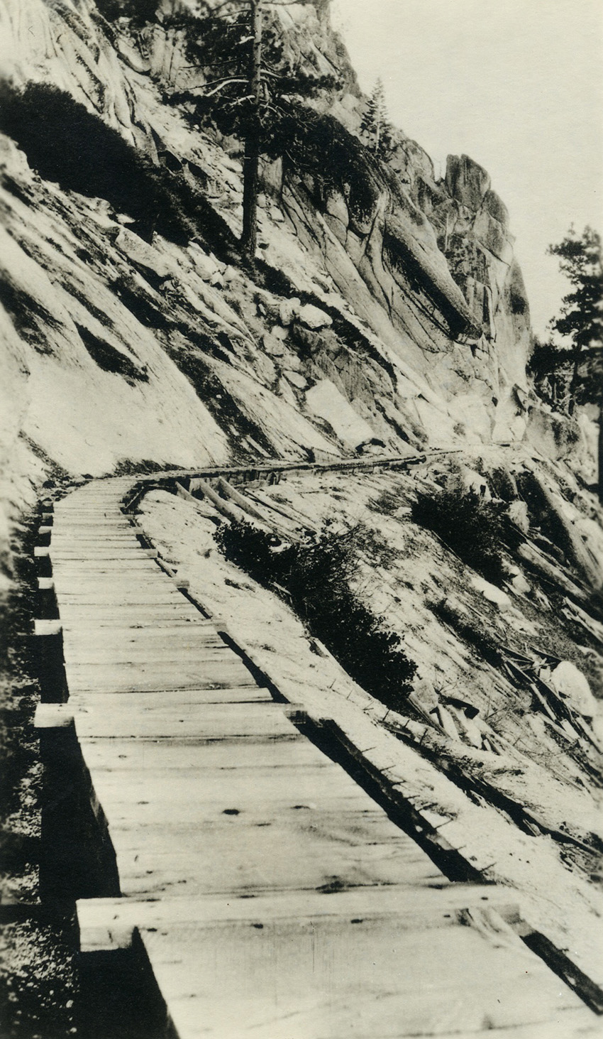 Photo shows the tops of wooden slats forming a pathway on a hillside. 
