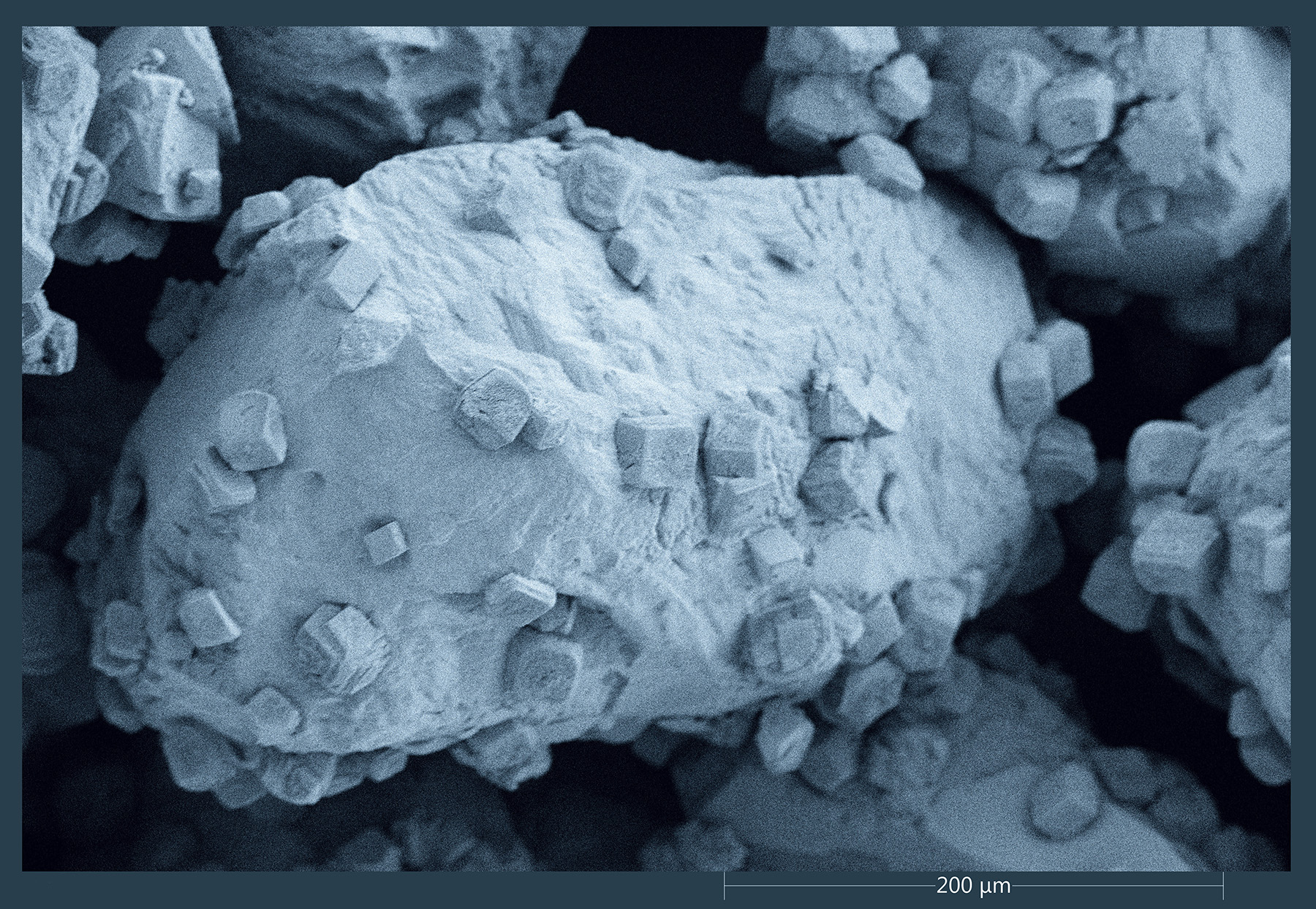 A microscopic image of soil particles shows precipitated calcium carbonate after a biocementation treatment.