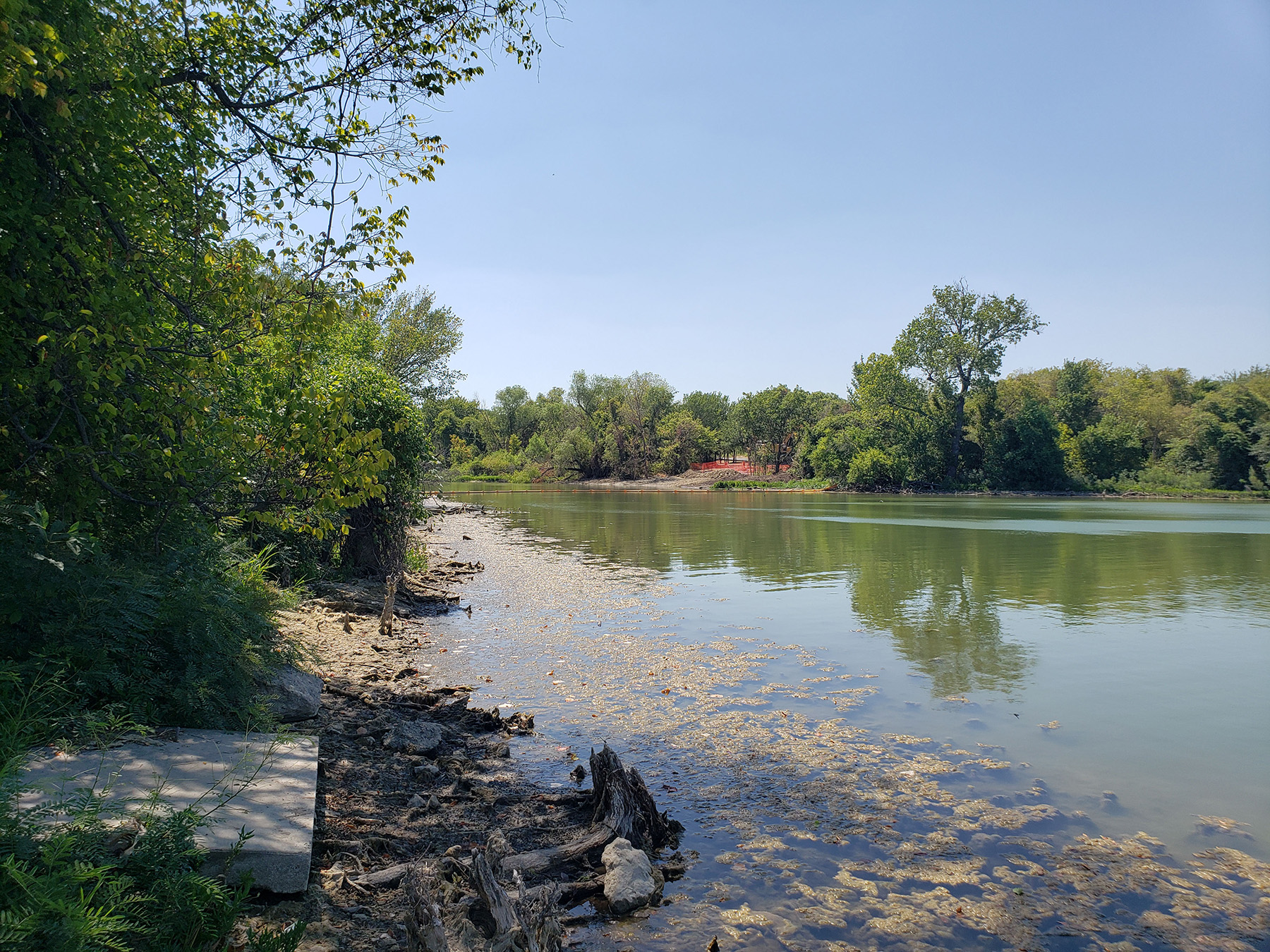 A view of the lake downstream. The water is still and reflects the tree line on the opposite bank. A line of trees is in the foreground next to the water’s edge. 