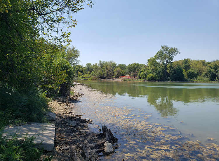 A view of the lake downstream. The water is still and reflects the tree line on the opposite bank. A line of trees is in the foreground next to the water’s edge. 