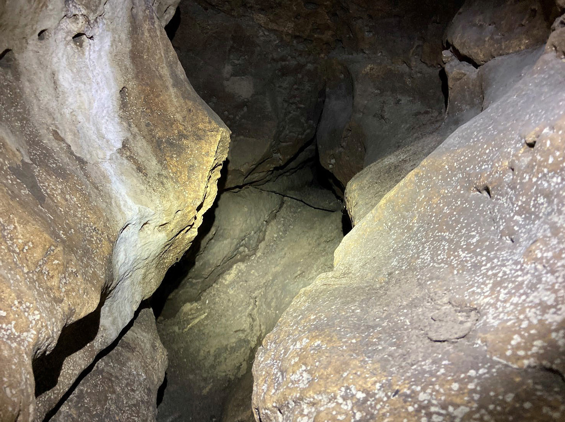 The image shows an underground space where small invertebrates could live. 