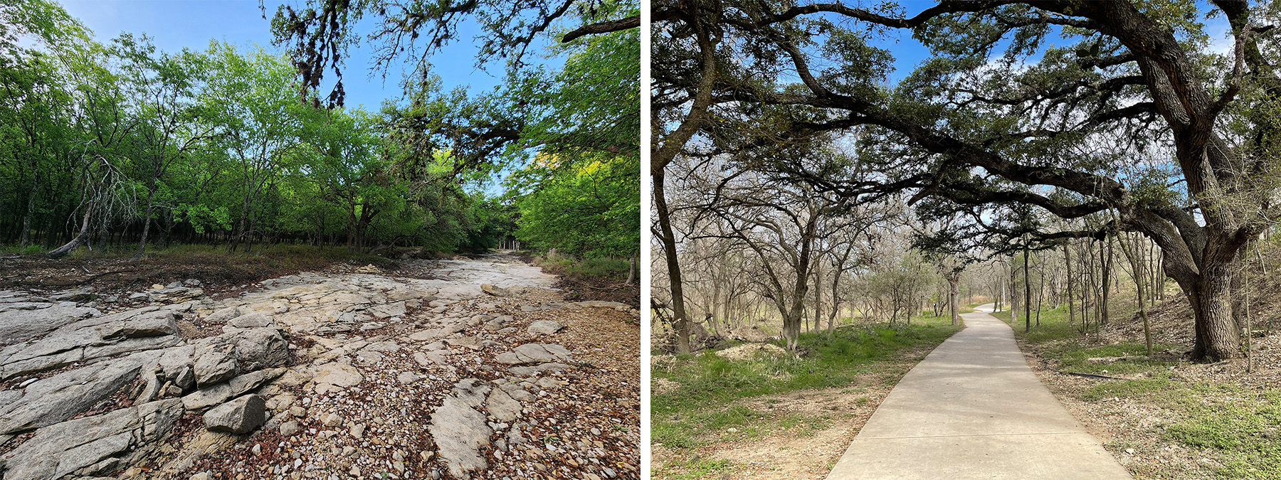 Two photos show a network of concrete trails and dense vegetation. 