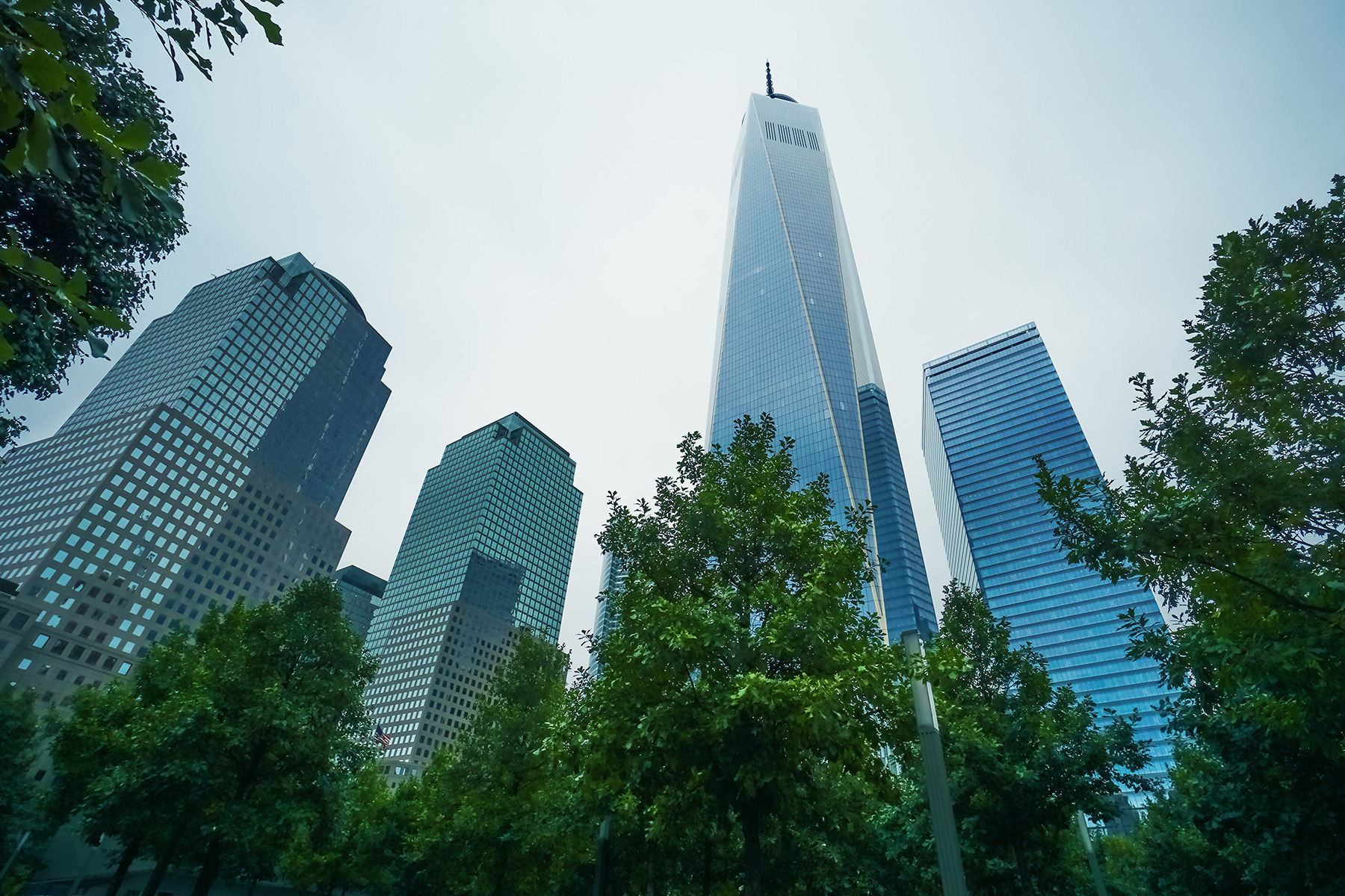 Photograph shows four super tall buildings in a city. There are trees in the foreground. 