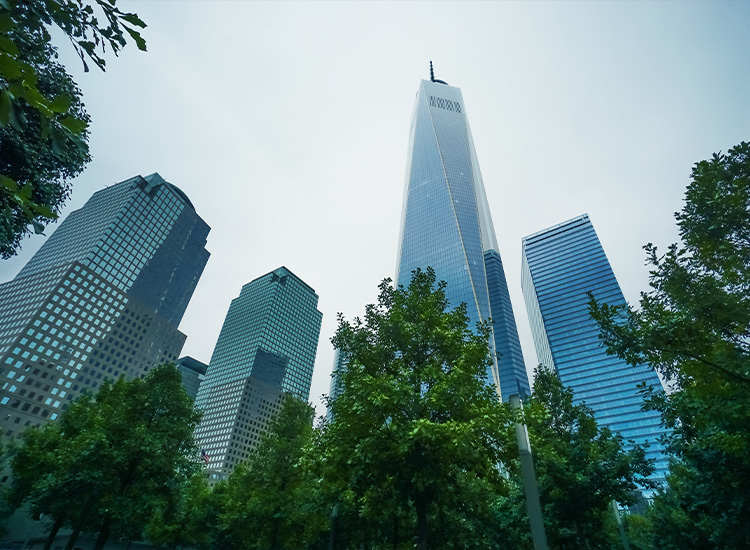 Photograph shows four super tall buildings in a city. There are trees in the foreground. 