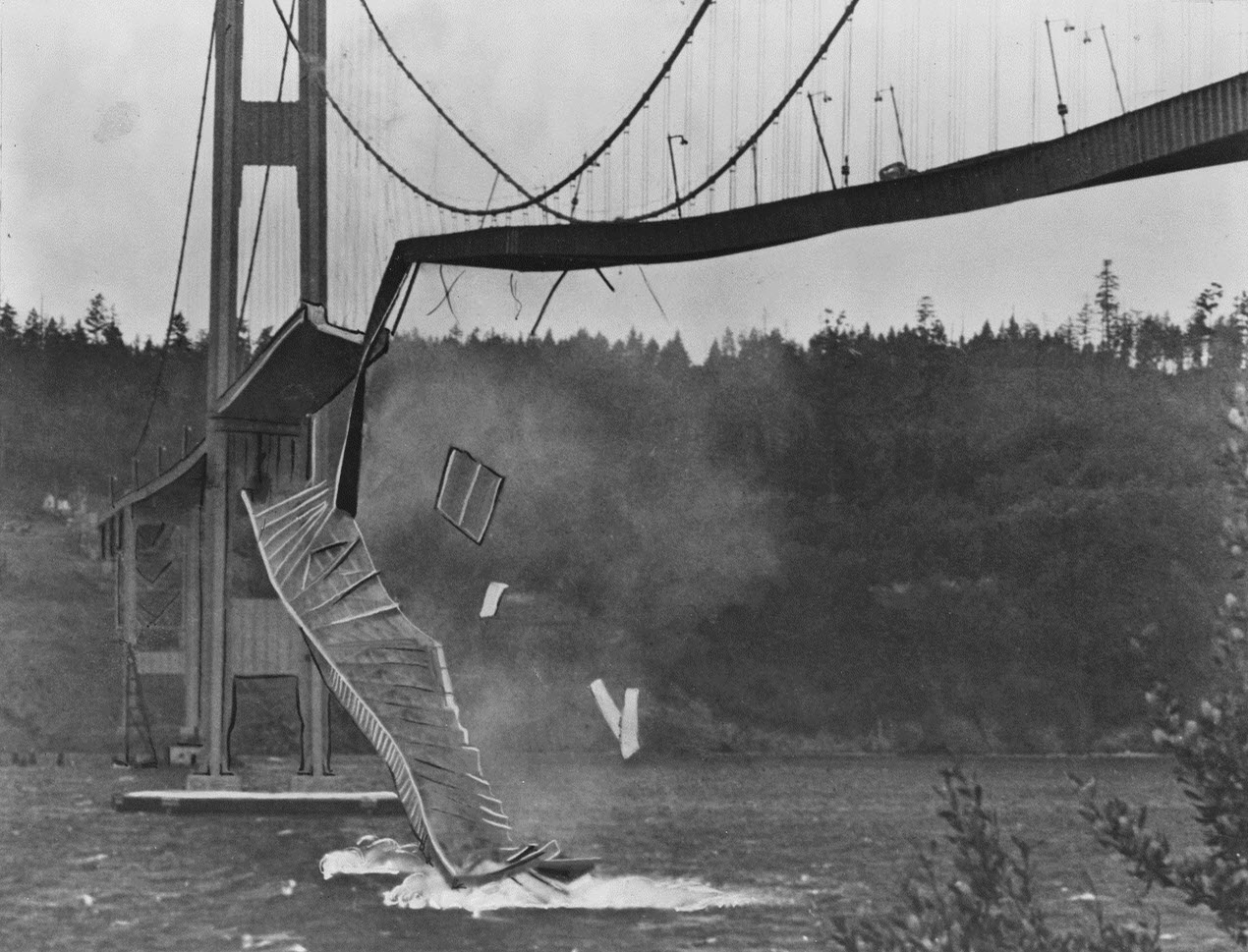 photo of the Tacoma Narrows Bridge