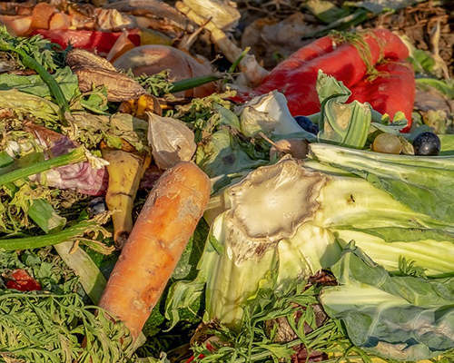 Exploring effective means for handling food waste