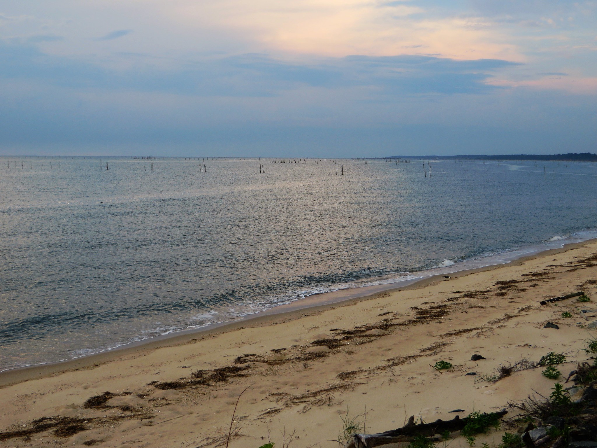 photo of Chesapeake Bay