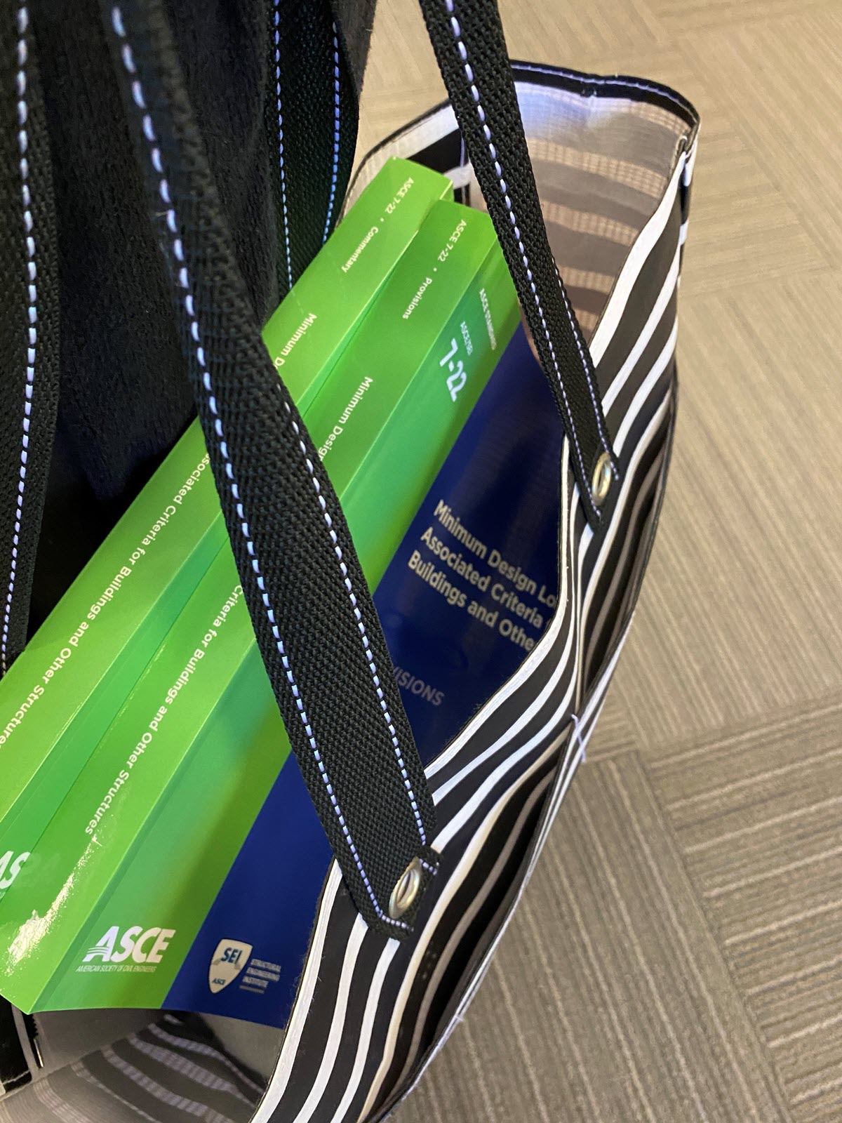 photo of ASCE 7 in a bag