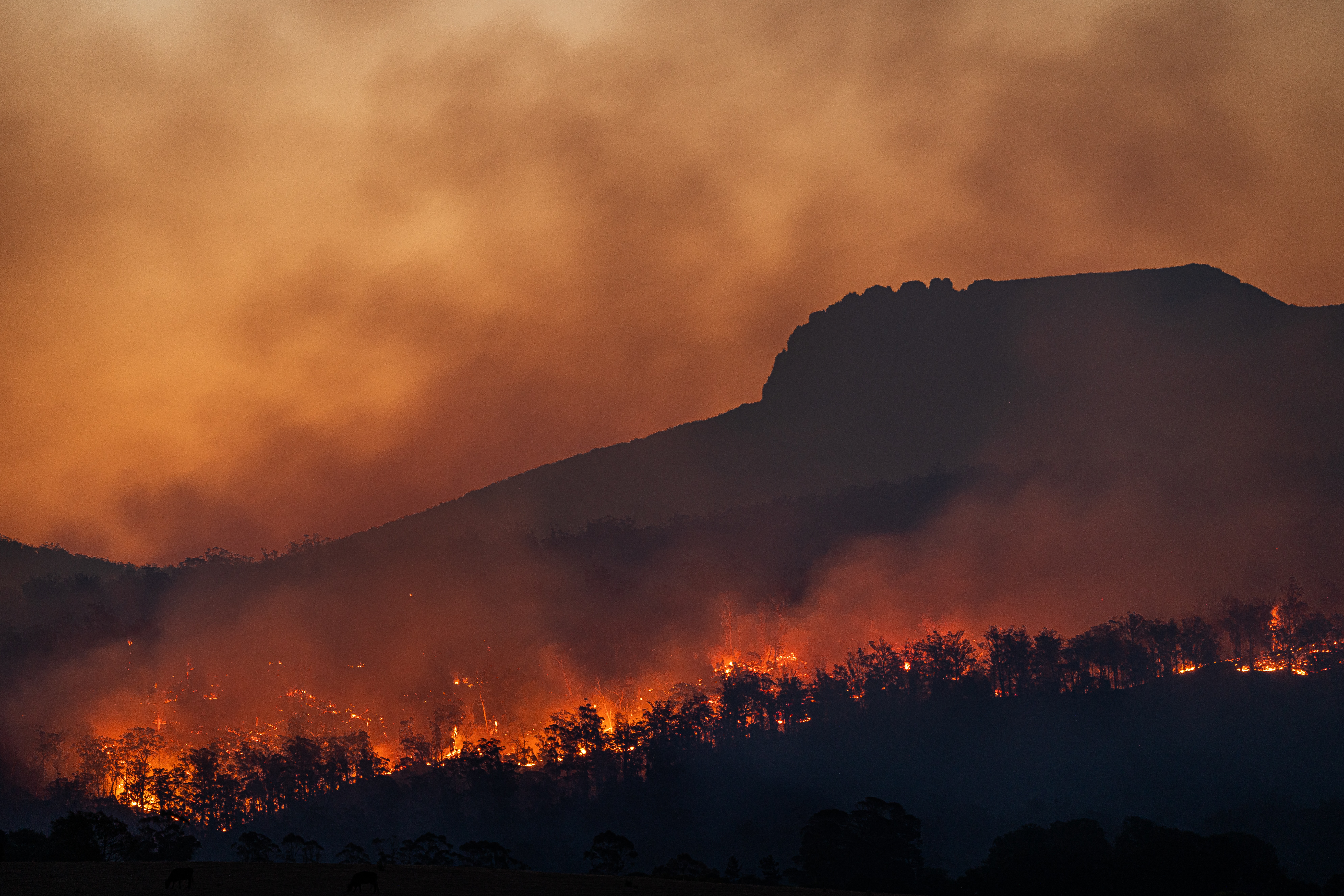 photo of wildfires