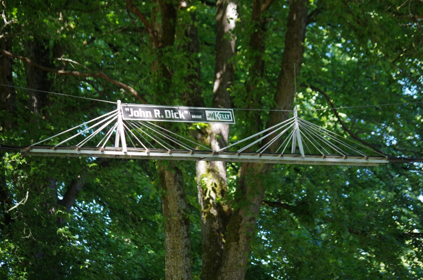 photo of a squirrel bridge
