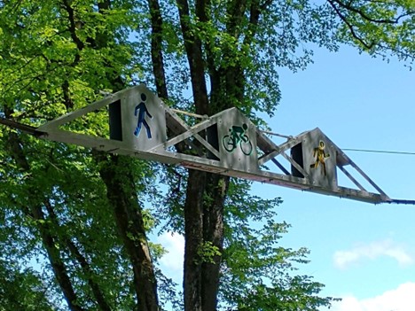 photo of a squirrel bridge