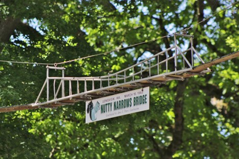 photo of Nutty Narrows Bridge