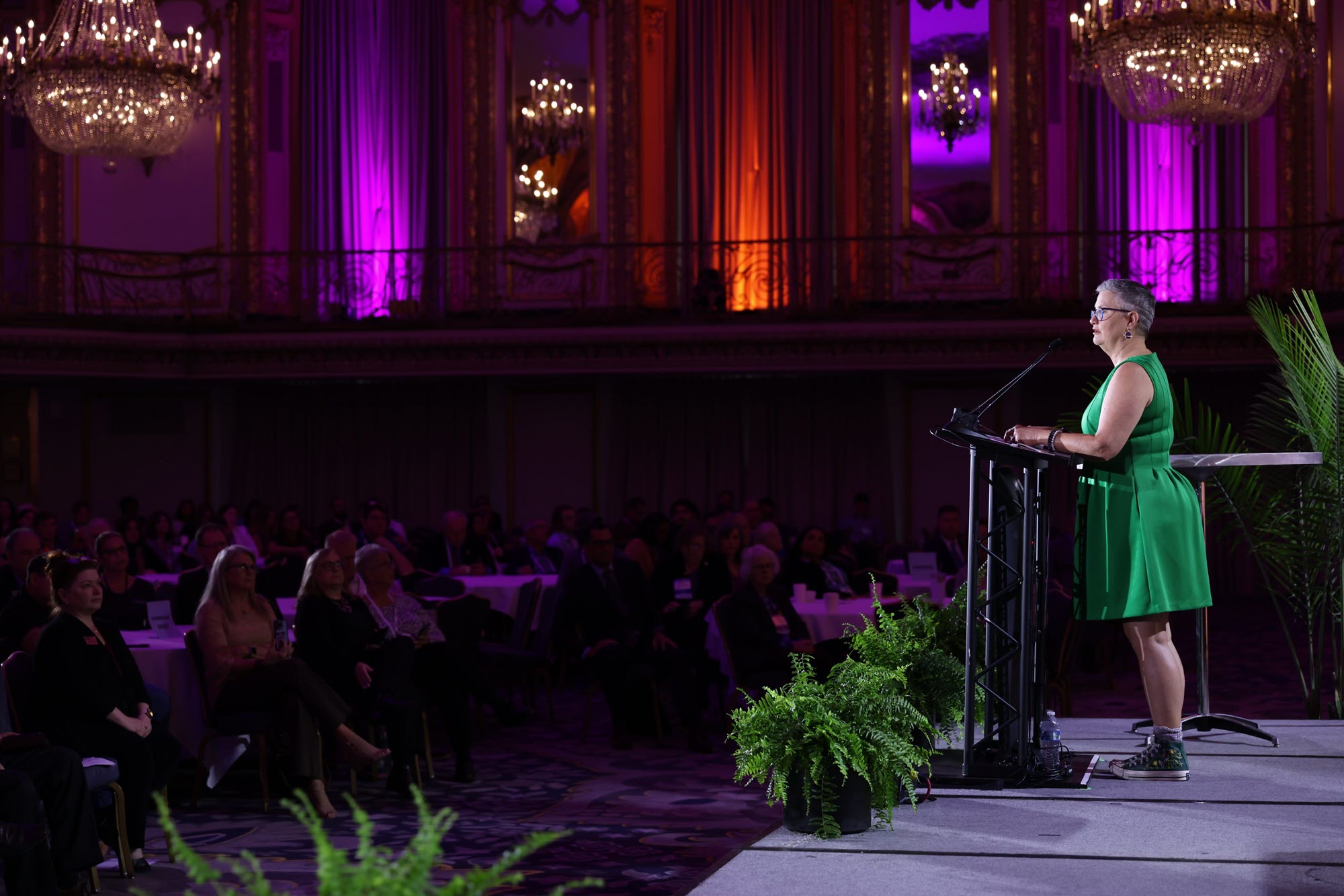 photo of Marsia Geldert-Murphey during the annual business meeting.