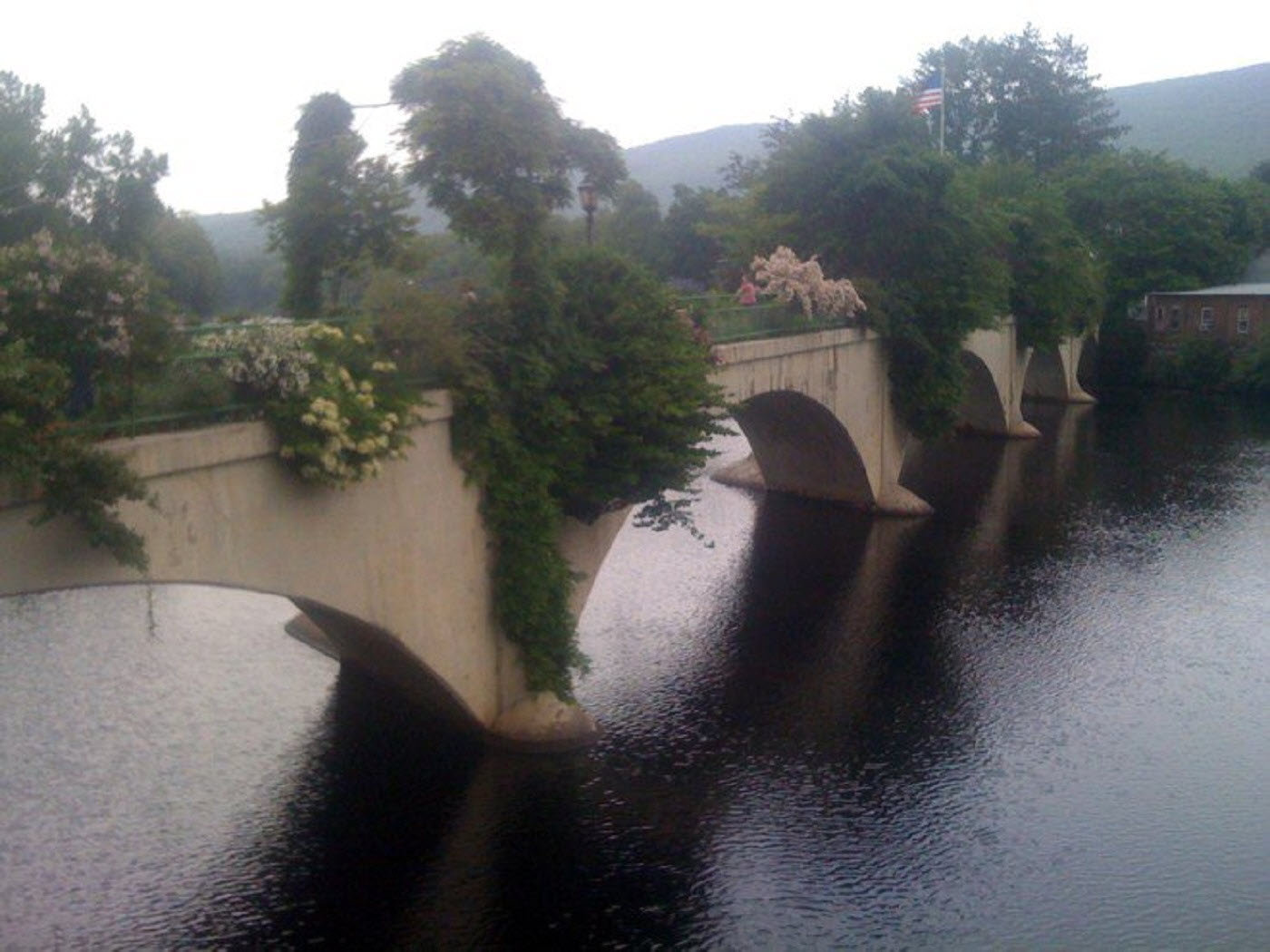 photo of flower bridge