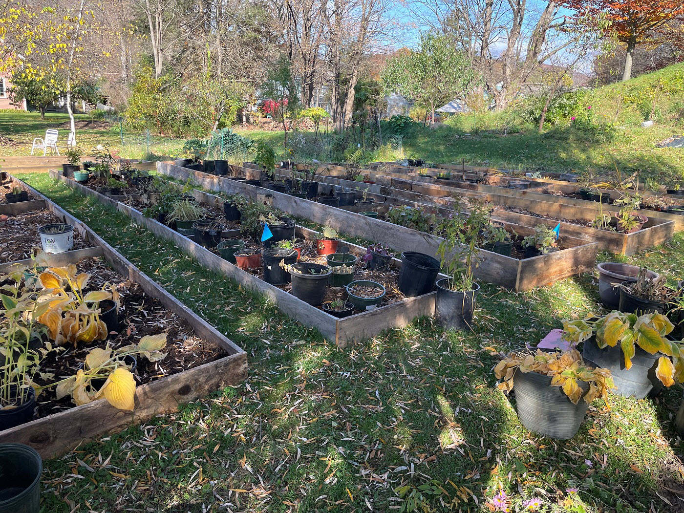 photo of flower beds