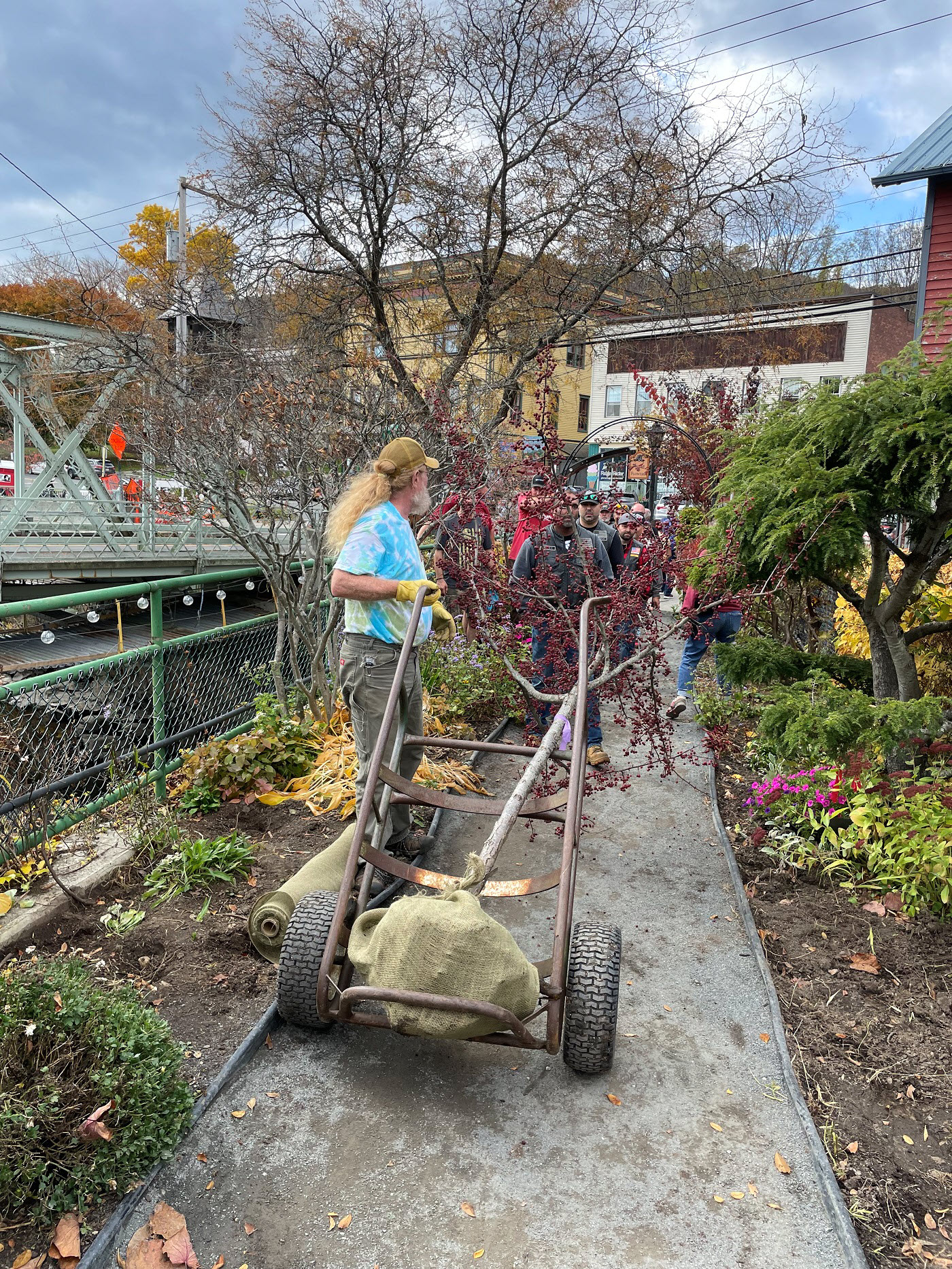 photo of moving flowers