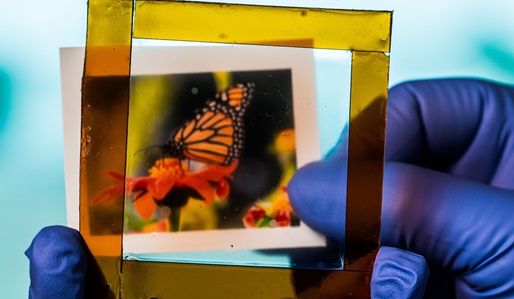 a picture is viewed through a square of glass