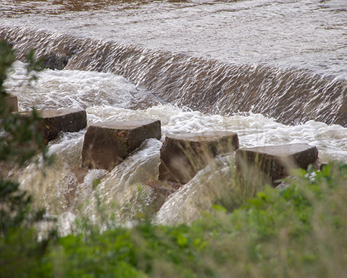 A turbid, muddy rushing stream of overflowing river water