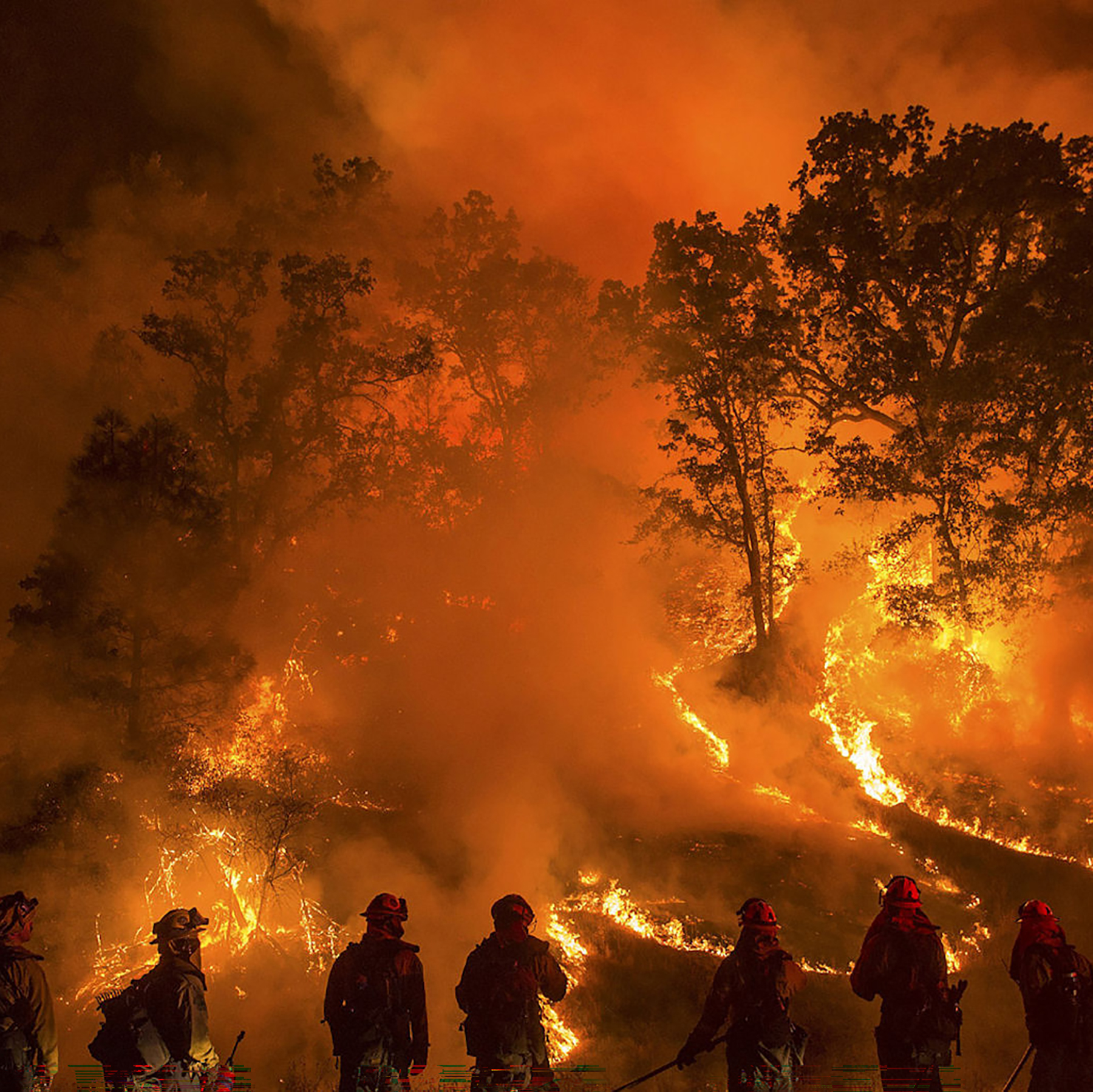 firefighters battle a giant forest fire