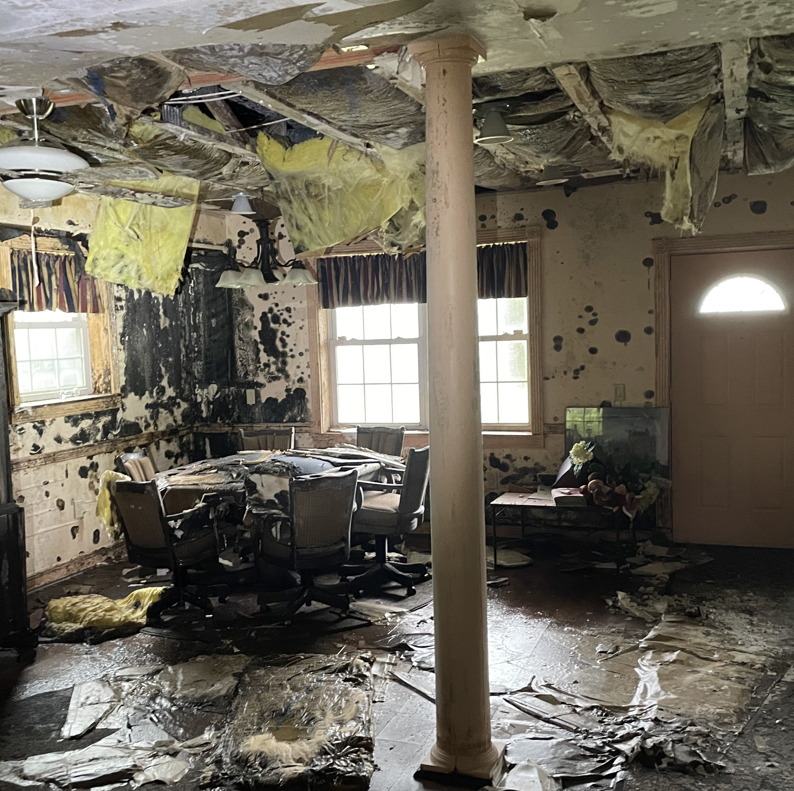 interior of a home overtaken by mold