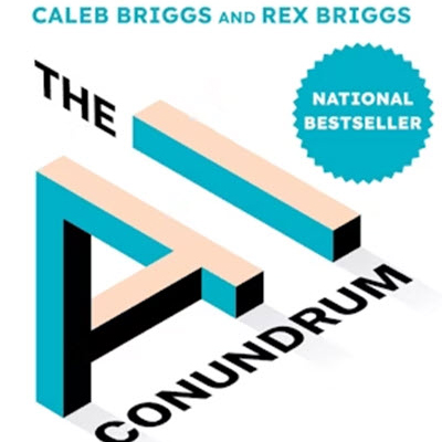 Book cover of The AI Conundrum
