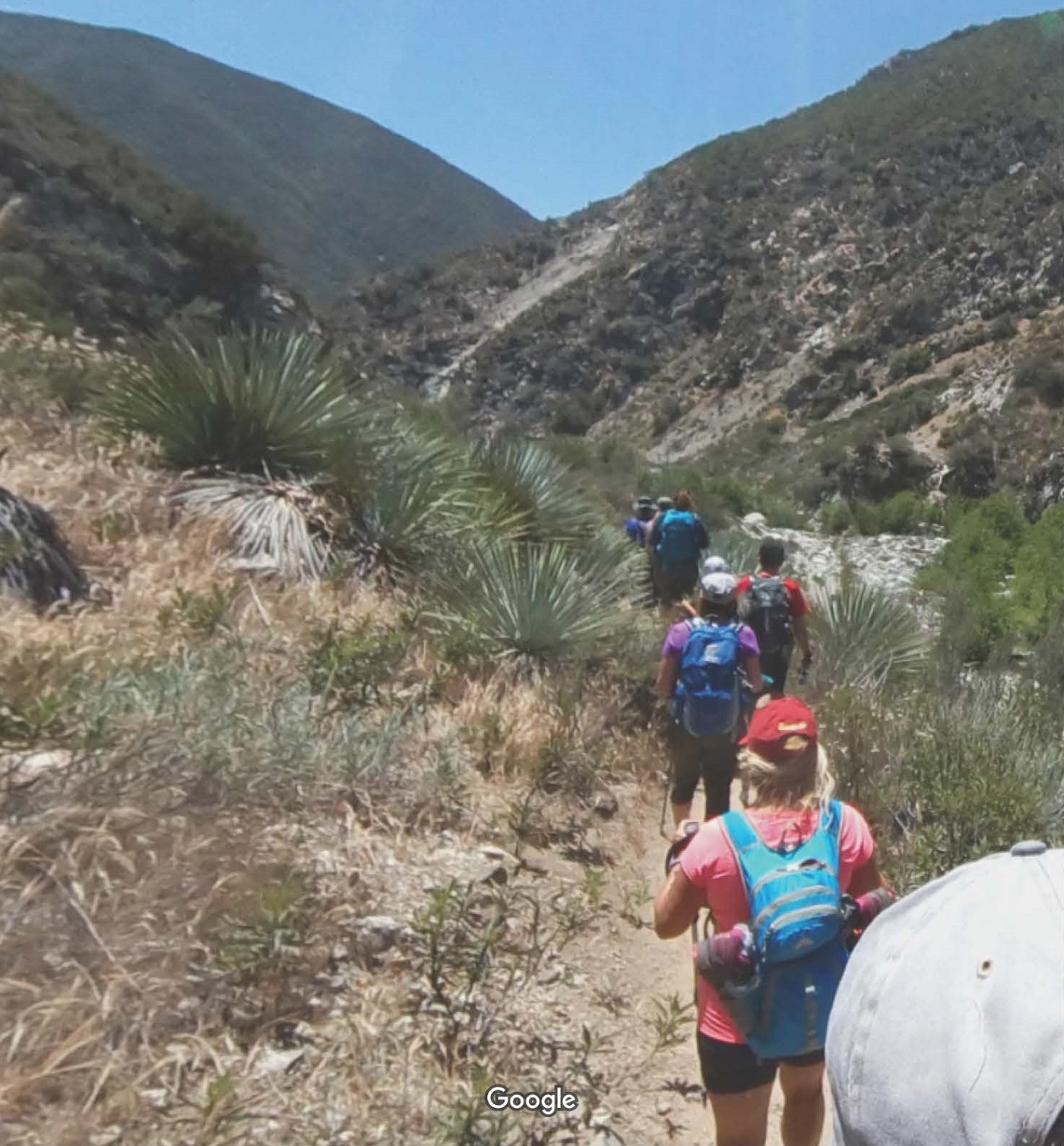 photo of hikers on a trail