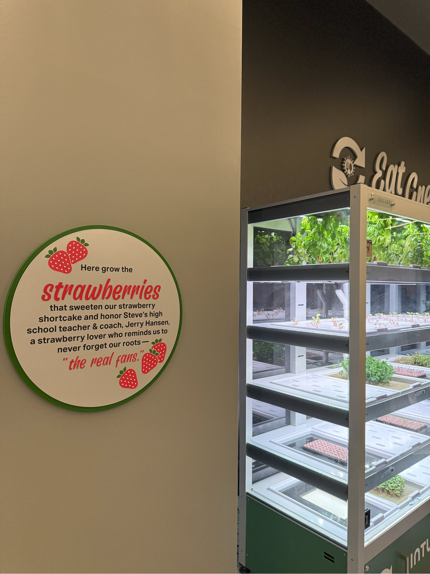 photo of homegrown strawberries