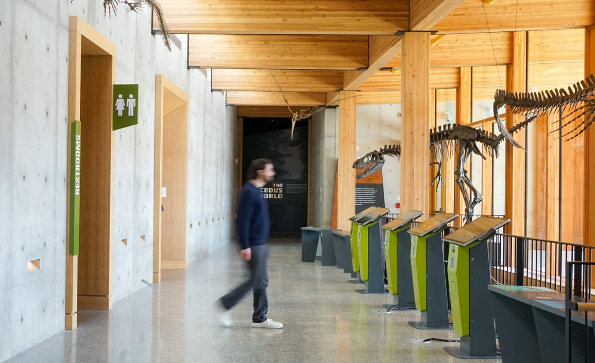 a person walks among fossils in a timber-heavy building a person walks among fossils in a timber-heavy building