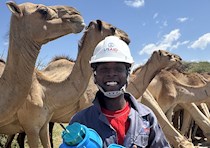 a man holding a water quality sensor stands among camels