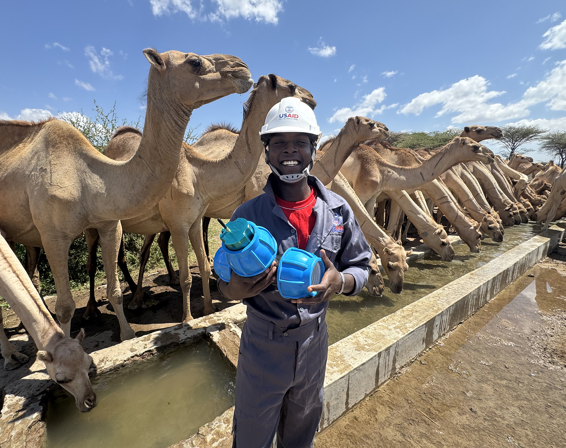 a man with a water quality sensor stands among camels a man with a water quality sensor stands among camels