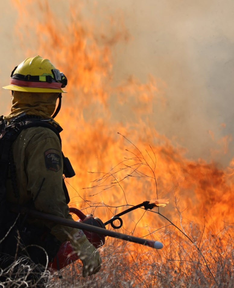 a firefighter is pictured from behind battling a blaze