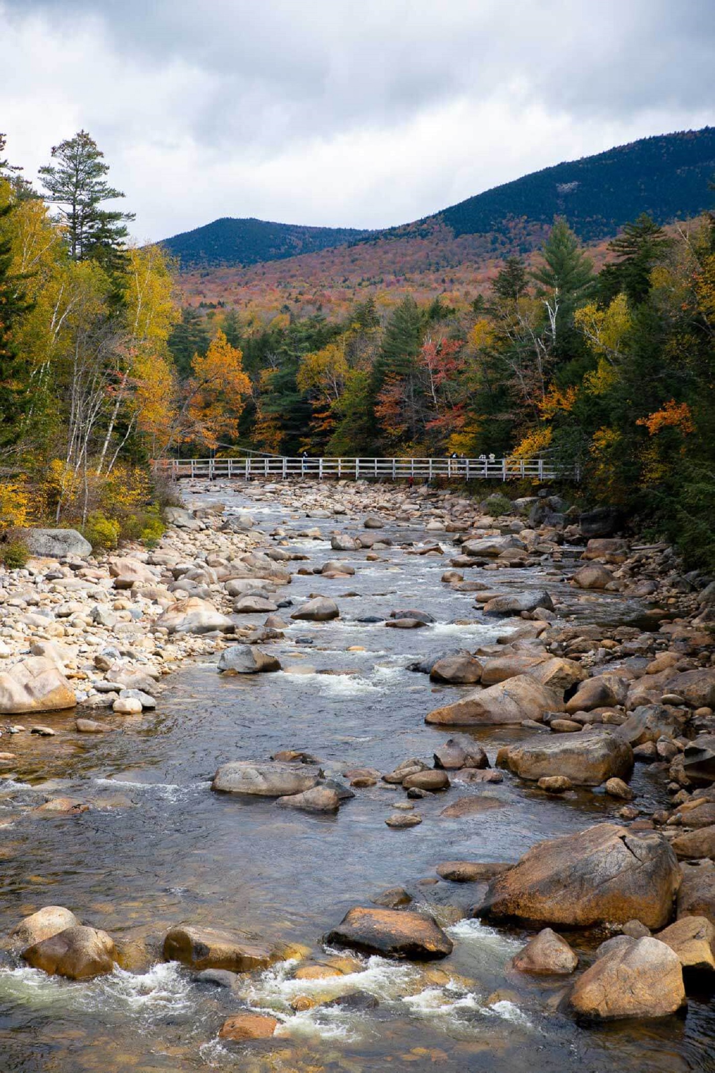 photo of Lincoln Woods Suspension Bridge