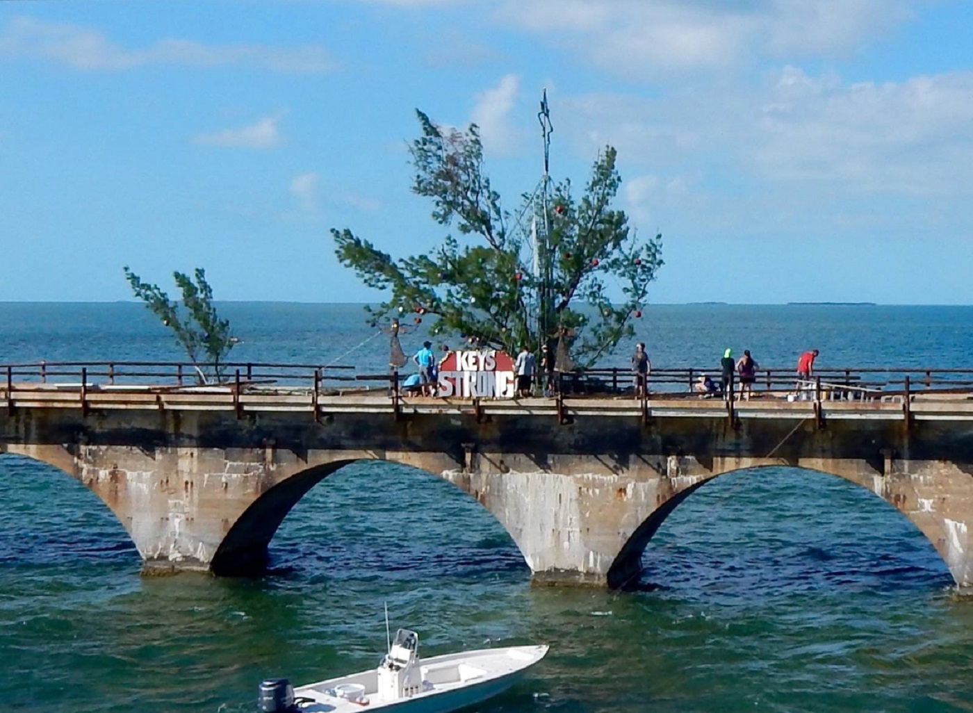 photo of Seasonal decorations on Fred the Tree