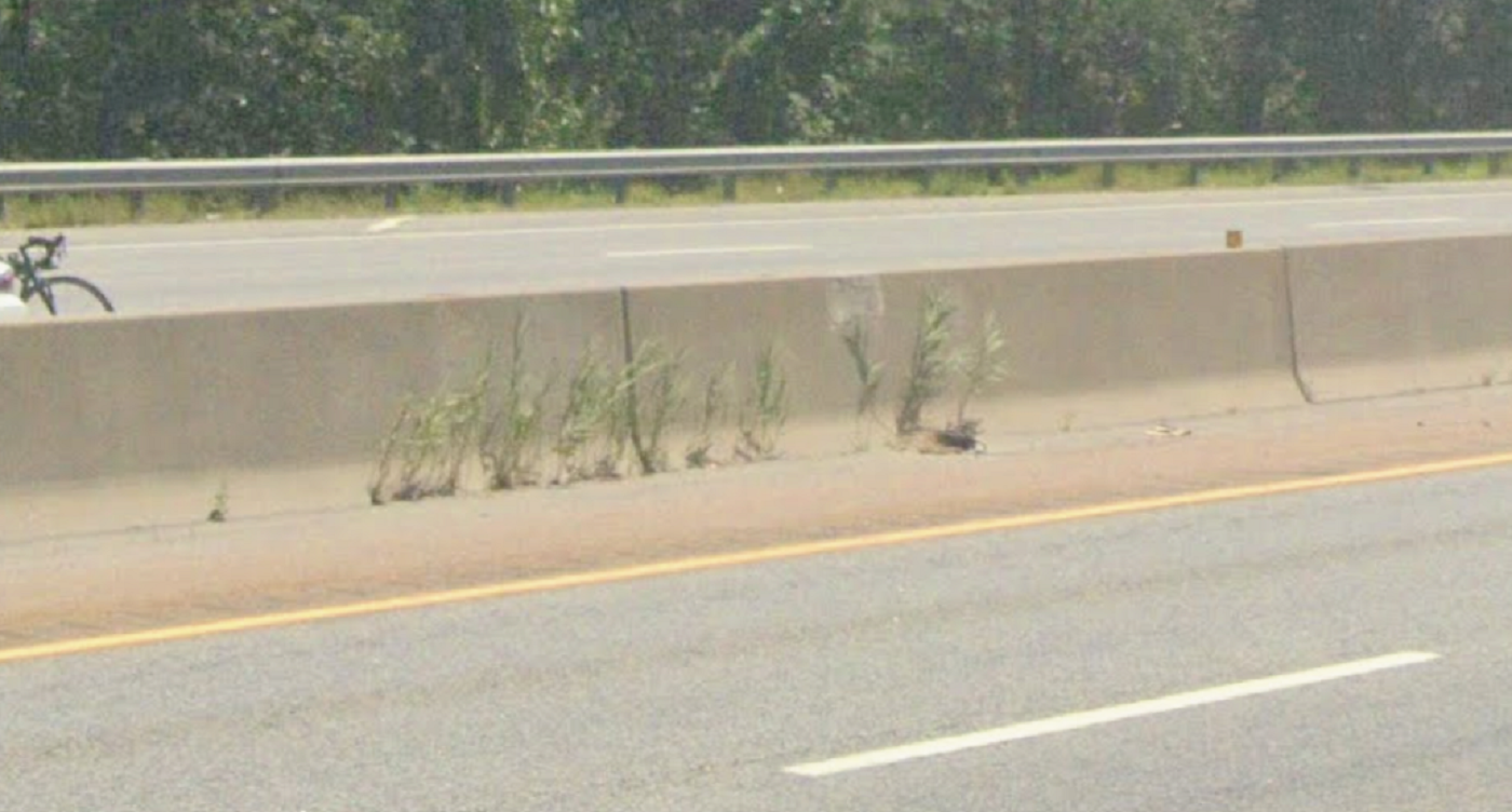 photo of Weeds in highway separation barrier