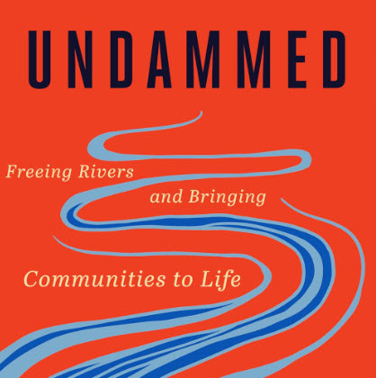 a red book cover with illustrations of blue rivers flowing with the title Undammed: Freeing Rivers and Brining Communities to Life