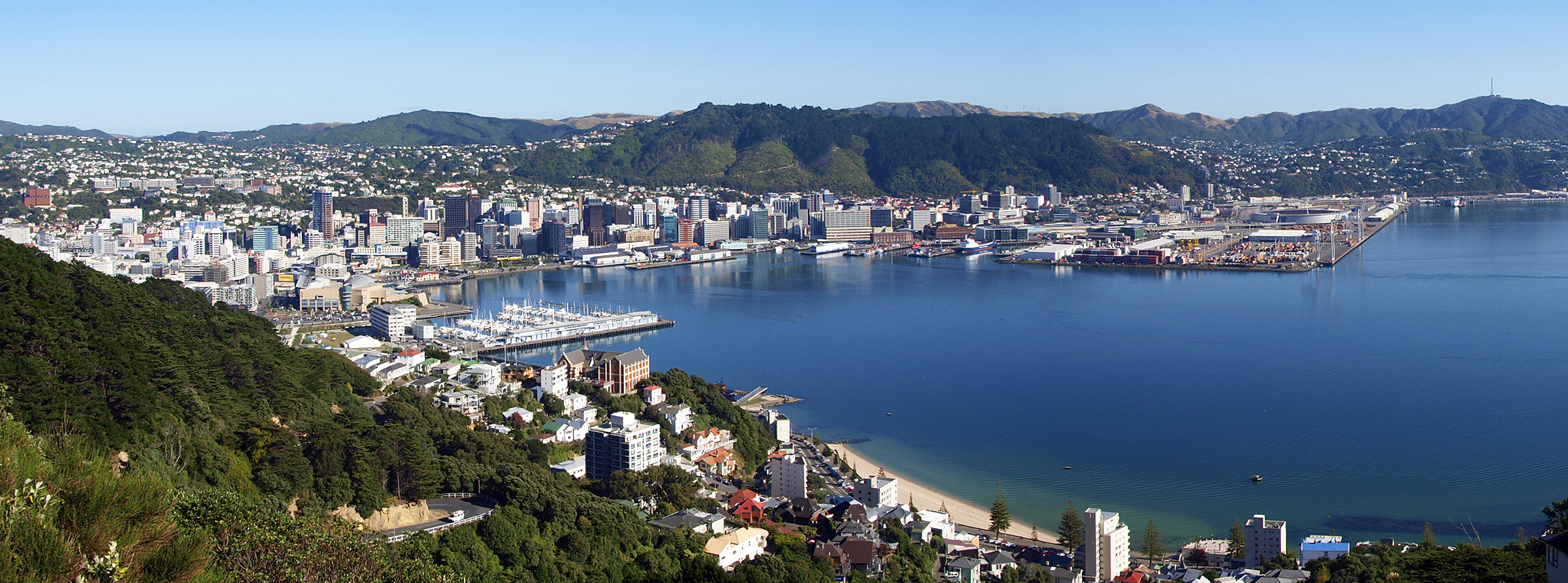 Wellington harbor showing integrated urban and port infrastructure systems