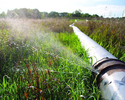 A large metal pipe sits in a field of long green grass. Water sprays out from the pipe, creating a mist in the sunlight. 