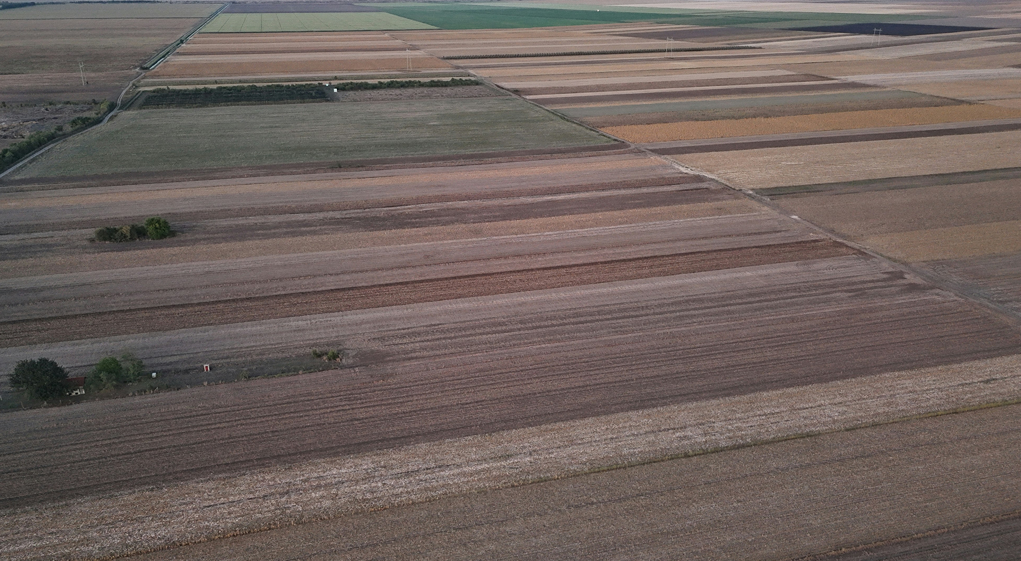 Aerial view of agricultural fields with varying soil and crop conditions