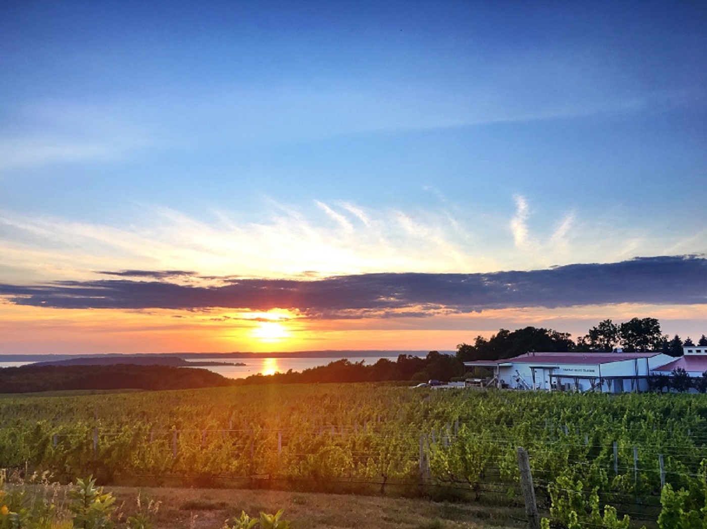 photo of Traverse City Vineyards