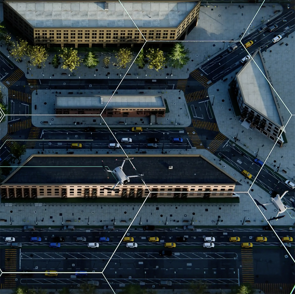 Drone imagery mapped into standardized hexagonal survey areas for data collection