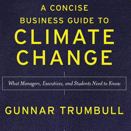 A Concise Business Guide to Climate Change book cover